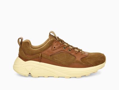 UGG Miwo Trainer Low Sneakers for Mens - Chestnut/Brown India